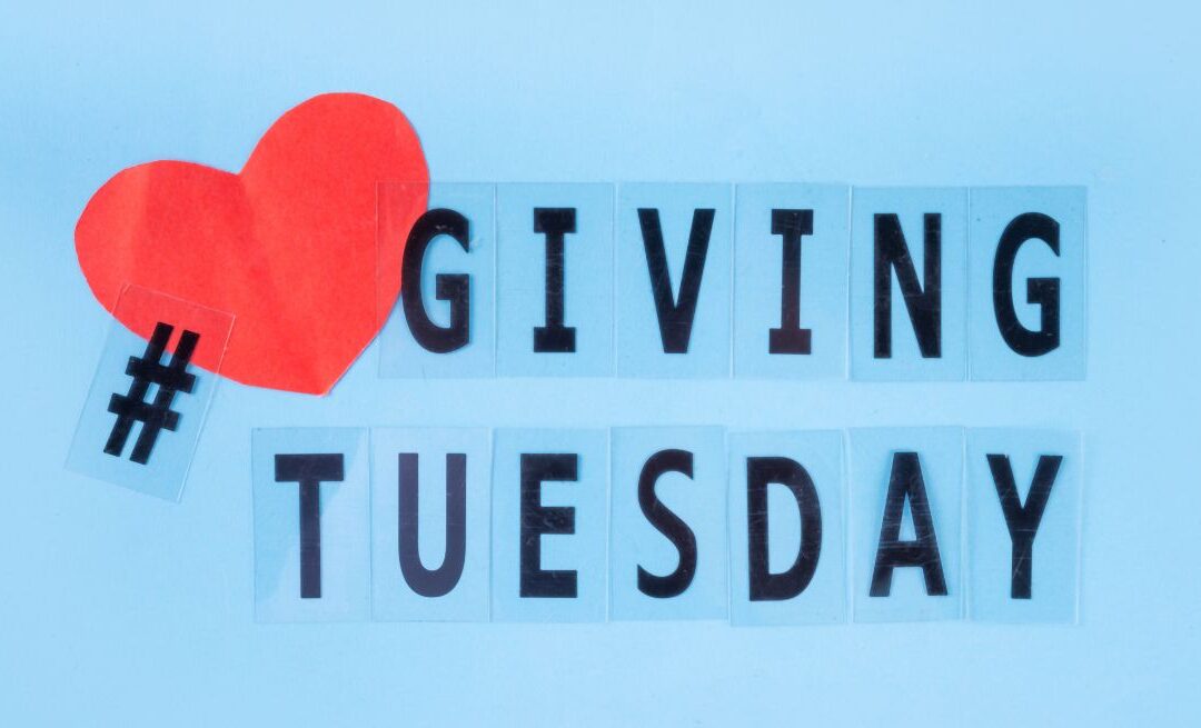 This Giving Tuesday, Support the Organizations Empowering People with Disabilities
